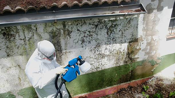 Top rated local Commercial Mold Remediation specialists in Fairfax Station, VA